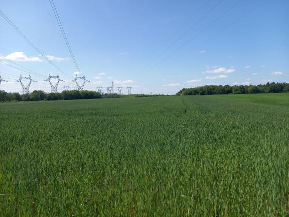 Sombernon céréales