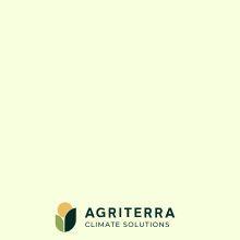 AA