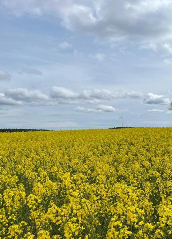 infrastructures agroecologiques