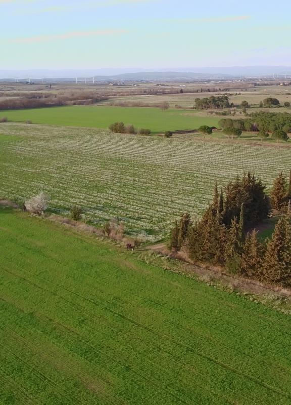 Bioregeneration des sols