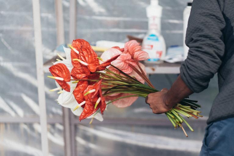 insertion fleurs