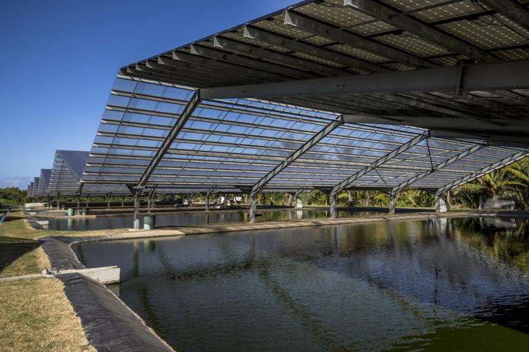aquaculture